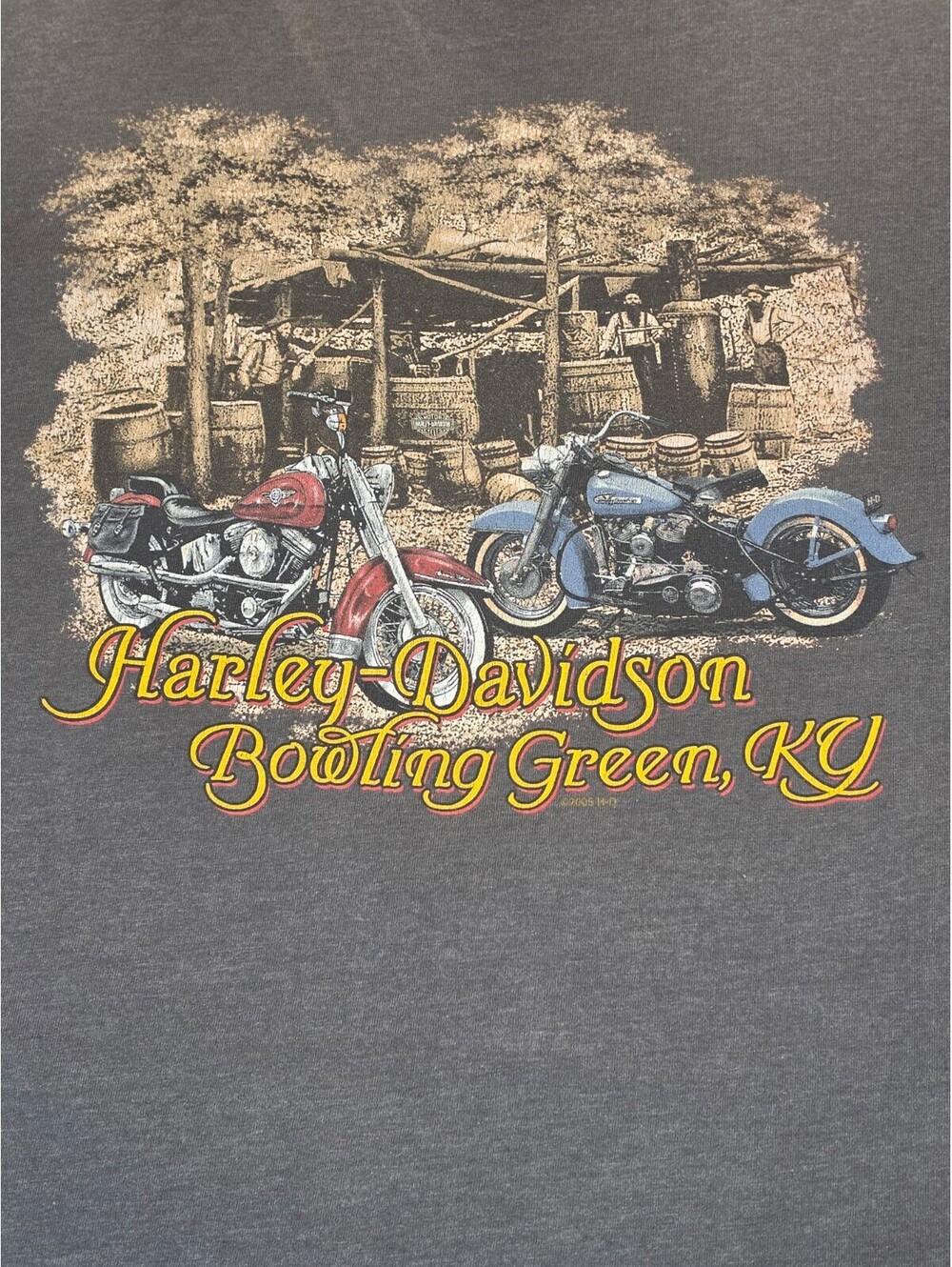 Harley-Davidson Bowling Green, KY Vintage Graphic Pocket T-Shirt, Gray, Men's L